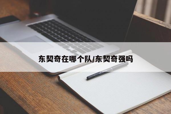东契奇在哪个队/东契奇强吗