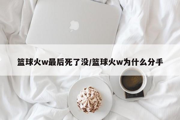 篮球火w最后死了没/篮球火w为什么分手