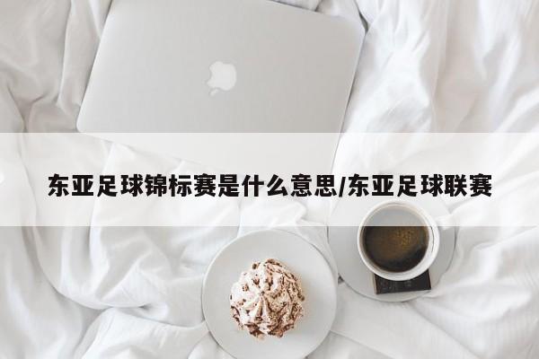 东亚足球锦标赛是什么意思/东亚足球联赛