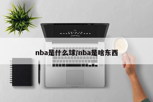 nba是什么球/nba是啥东西